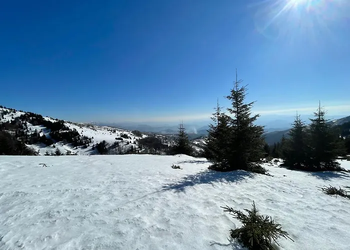 Lägenhet Zlatna Kruna - Lux